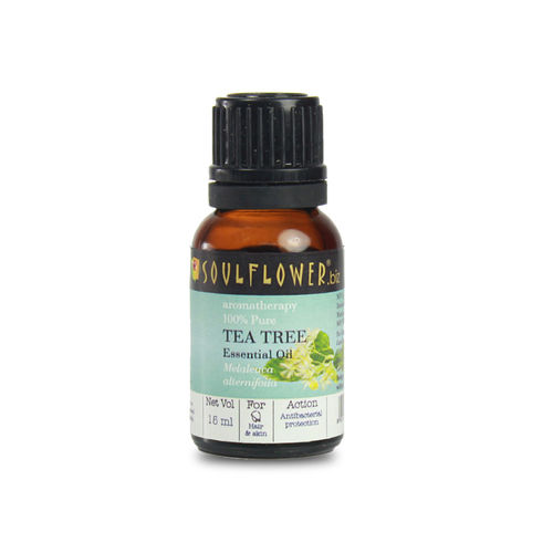 Soulflower Tea Tree Essential Oil Buy Soulflower Tea Tree Essential Oil Online At Best Price In India Nykaa It is inexpensive, extremely practical and confers such a wide range of health benefits that it should be a staple of any medicine cabinet. soulflower tea tree essential oil
