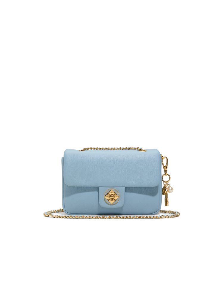 Aldo Nellyne Blue Womens Cross Body Bag-picture-26
