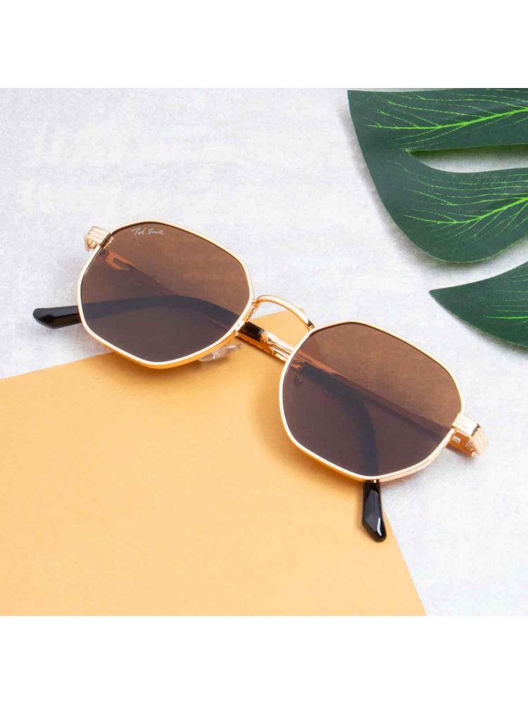 TED SMITH Unisex Polycarbonate Uv Protection Full Rim Hexagon Shape Brown Lens Sunglasses-image-27