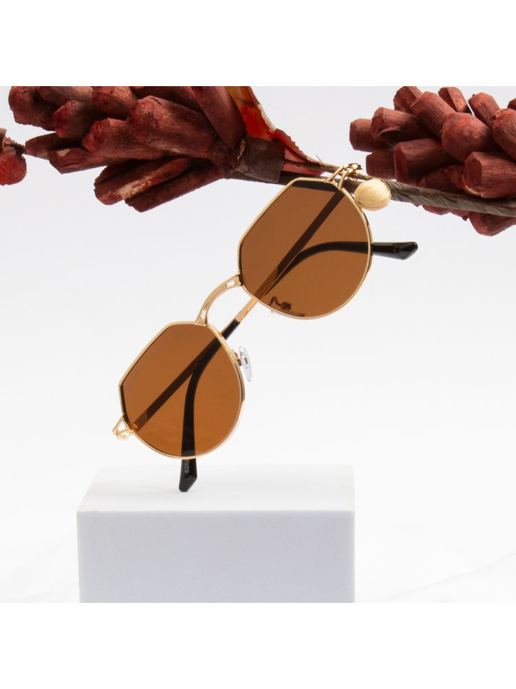 TED SMITH Unisex Polycarbonate Uv Protection Full Rim Hexagonal Shape Brown Lens Sunglasses-image-20