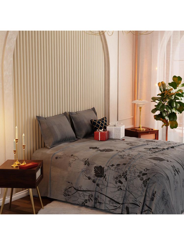 Stoa Paris Whispers of Paris Percale Misty Ivy Super King Bed Sheet Set with 2 Pillow Cover-image-29