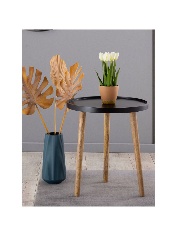 Metalsmith Elegant Black Wooden Side Table (small)-image-19