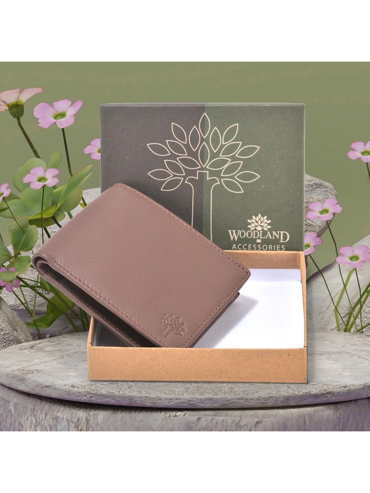 WOODLAND Casualwear Softy brown Wallet For Men-image-2