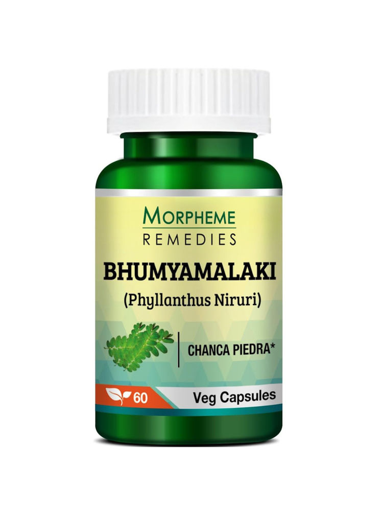Morpheme Remedies Phyllanthus Niruri (Bhumyamlaki) Chanca Piedra - Stone Breaker - 500mg Extract-picture-21