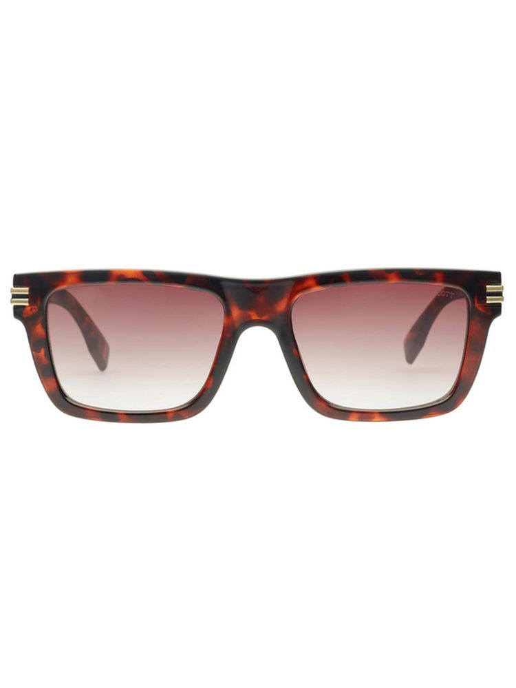 Scott Sunglasses Unisex Acetate Brown Rectangle Full Rim Sunglass (Scott 3192 Melor C3 S )-54-image-23