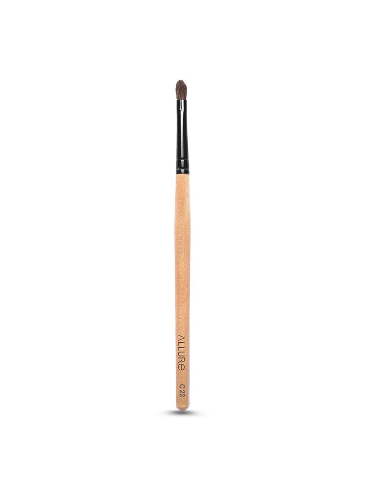 Allure Lip Filler Brush (c-22)