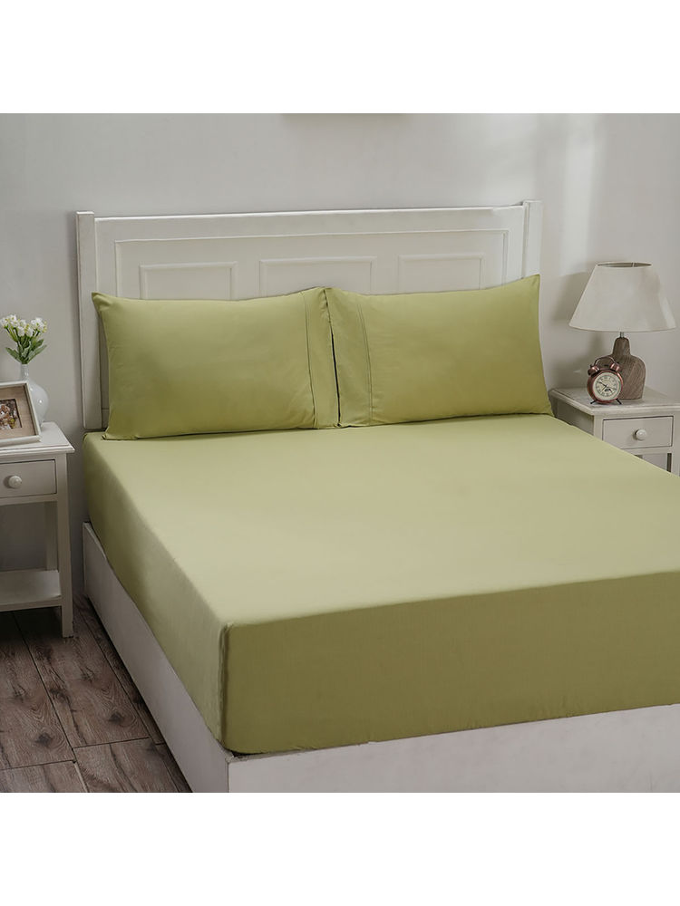 Maspar Colorart Eden 144 TC Cotton Solid Sage Green Single Fitted Sheet with 1 Pillow Cover (Single)-image-48