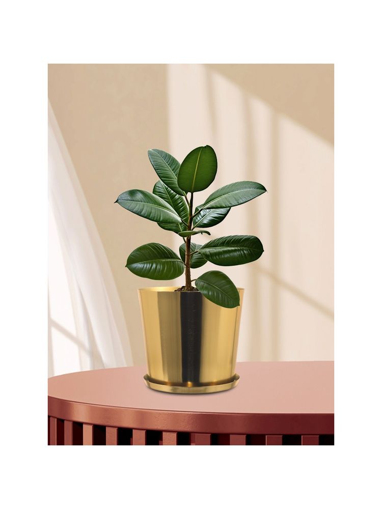Metalsmith Gold Planter For Indoor and Outdoor Plants & Flowers Plant Container Set-image-16