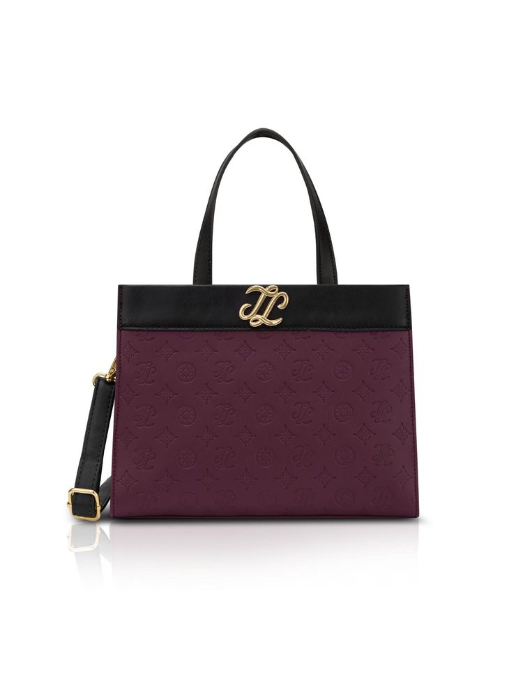 Lavie Signature Colorblock Marfa Satchel Bag With Detachable Strap - Maroon (M)-picture-20