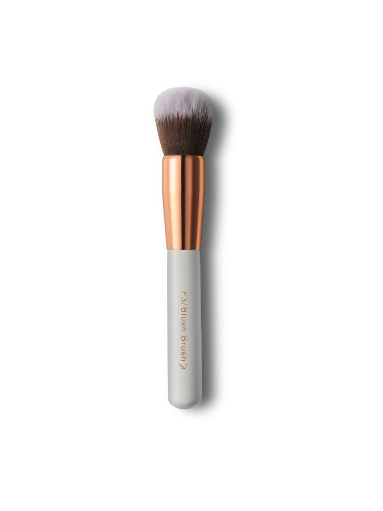 pigment play blush brush