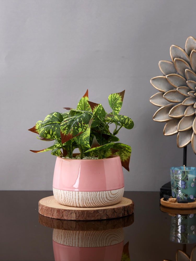 Tayhaa Pink Blushwood Harmony Planter-image-23