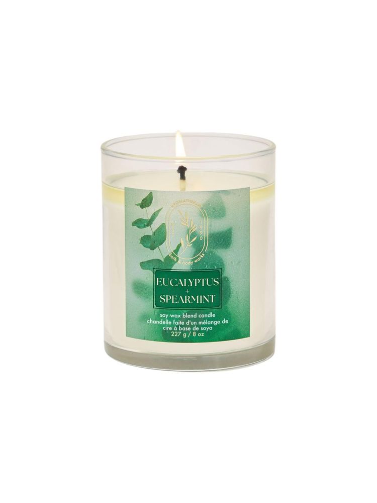 Bath & Body Works Eucalyptus Spearmint Single Wick Candle-picture-19