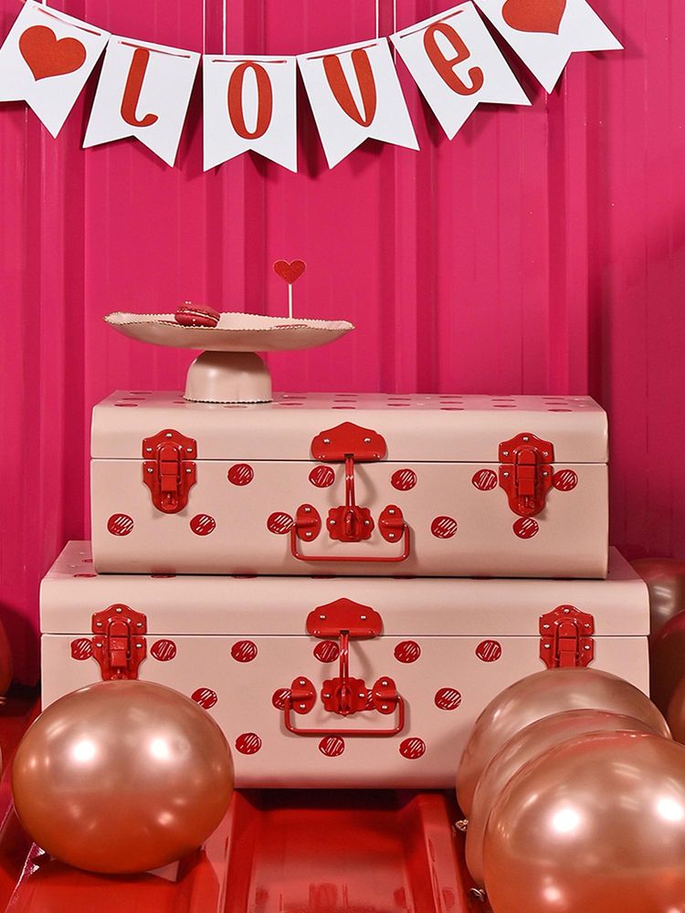 Living With Elan Polka Charm Storage Trunk Set Of 2 -Nude-image-34