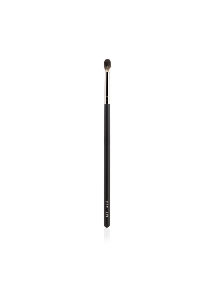 PAC Blending Eyeshadow Brush - 229