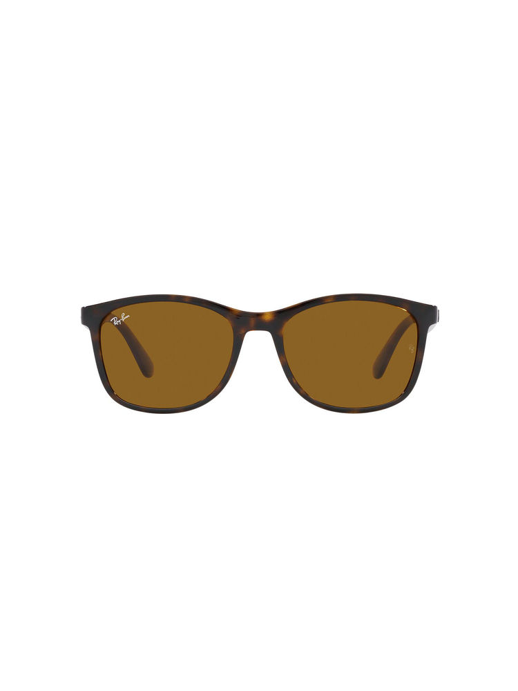Ray-Ban Havana Sunglasses-image-20