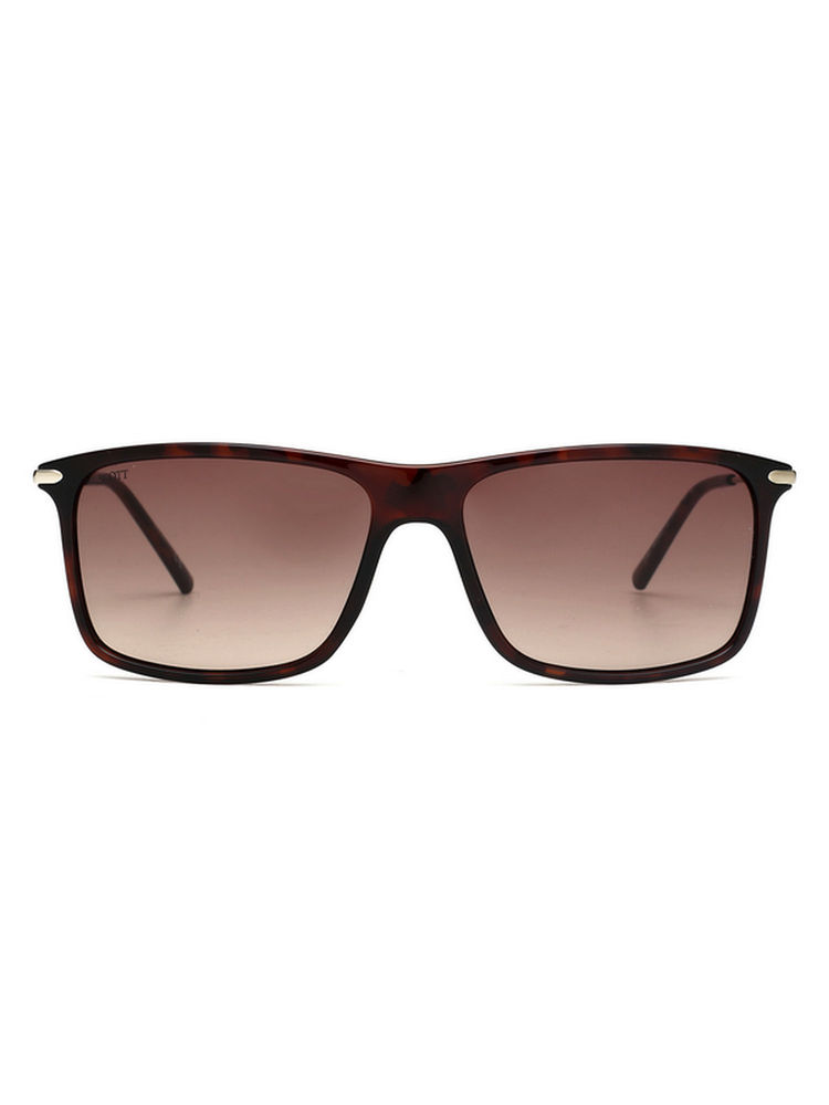 tommy hilfiger accessories Tommy Hilfiger Brown Gradient Lens Wayfarer Sunglass Full Rim Demi Frame (57)-picture-13