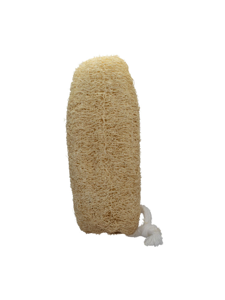 Allure Natural Loofha B - Natural Loofah-picture-15