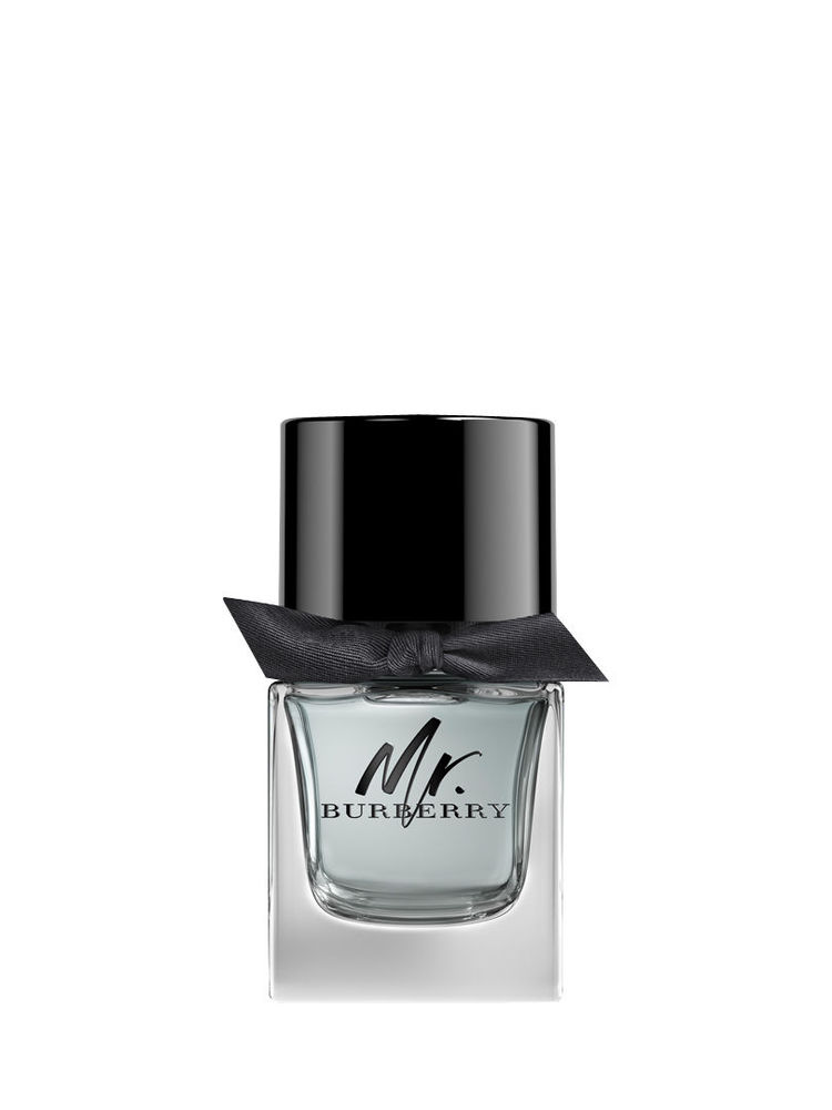 Burberry Mr. Burberry Eau De Toilette For Him-picture-11