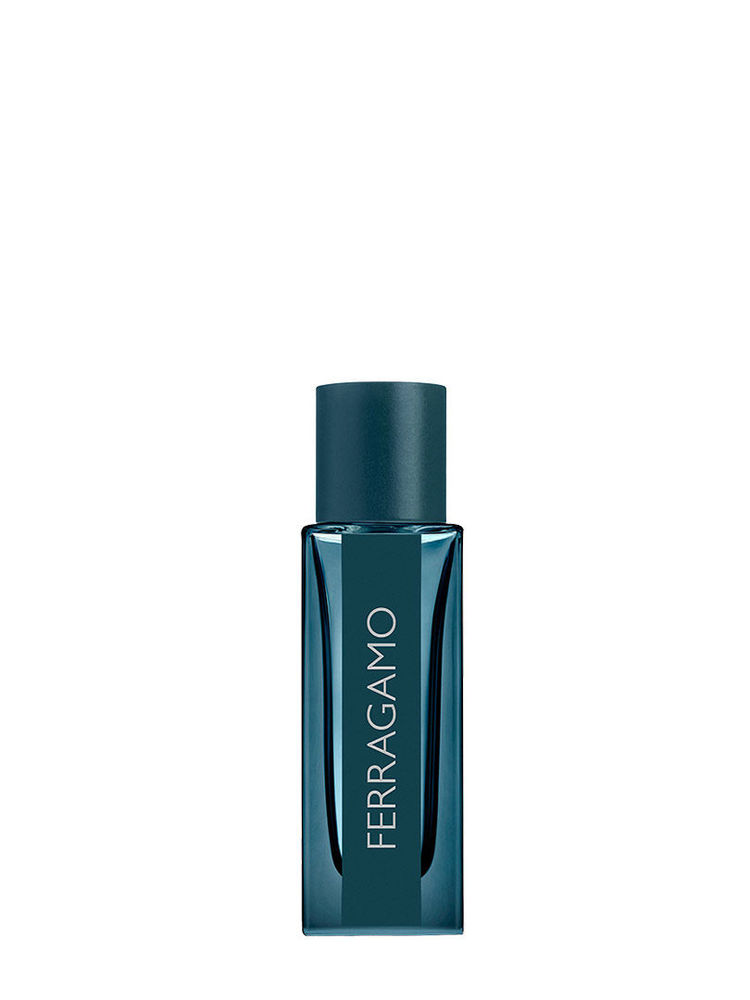 Ferragamo Ferragamo Intense Leather Eau De Parfum For Him-image-38