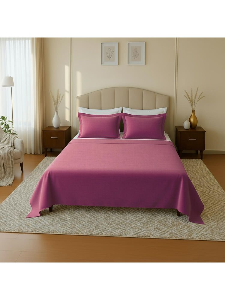 Mayfair Homes London 100 % Cotton 144Tc Super King Bedsheet Set With 2 Pillow Covers-image-42