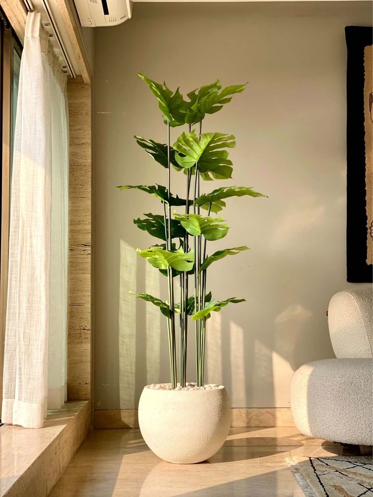 Mason Home Green Artificial Lush Monstera Plant without Pot (Pack of 3) (6 Feet)-picture-24
