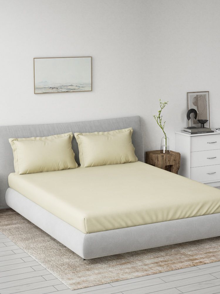 Ddecor Live Beautiful Solid Spectrum Flat 180TC King Bedsheet With 2 Pillow Covers - Yellow-image-34