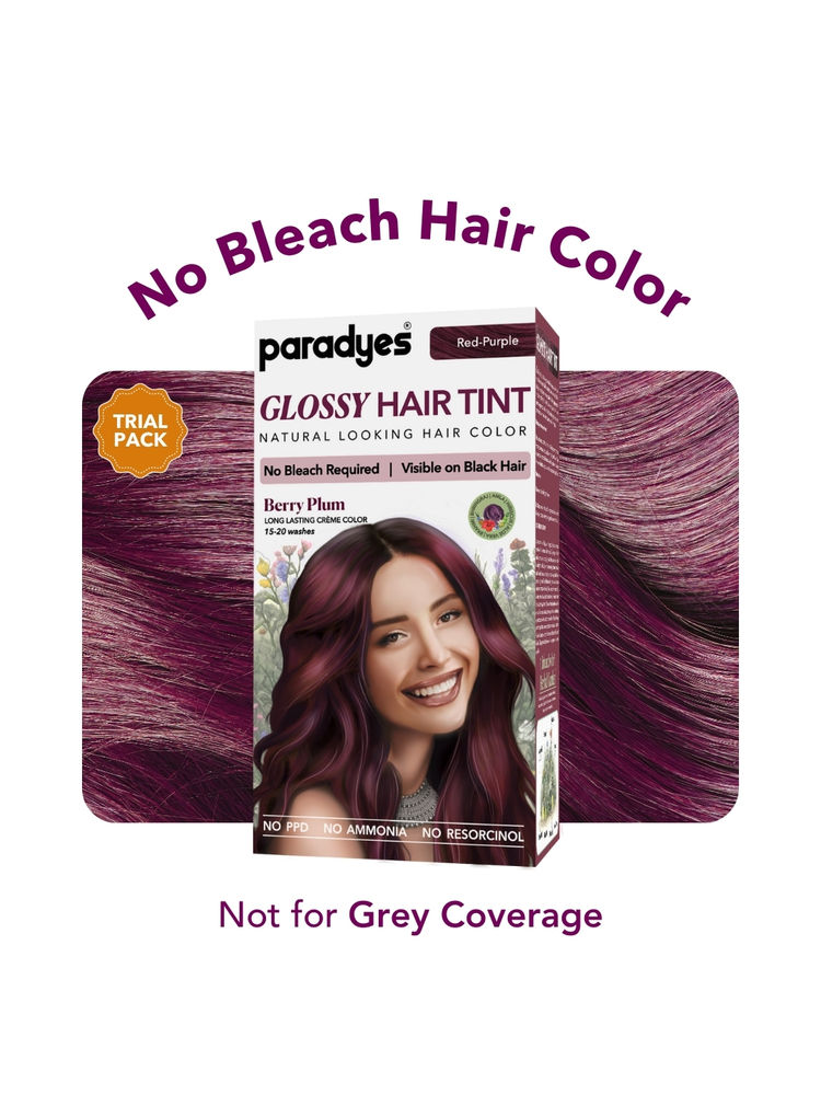 Paradyes No Bleach Mini Berry Plum Glossy Hair Tint