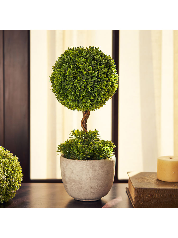 Pure Home + Living Potted Green Plant-image-0