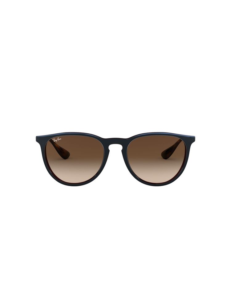 Ray-Ban 0RB4171 Brown Erika Round Sunglasses (54 mm)-picture-10