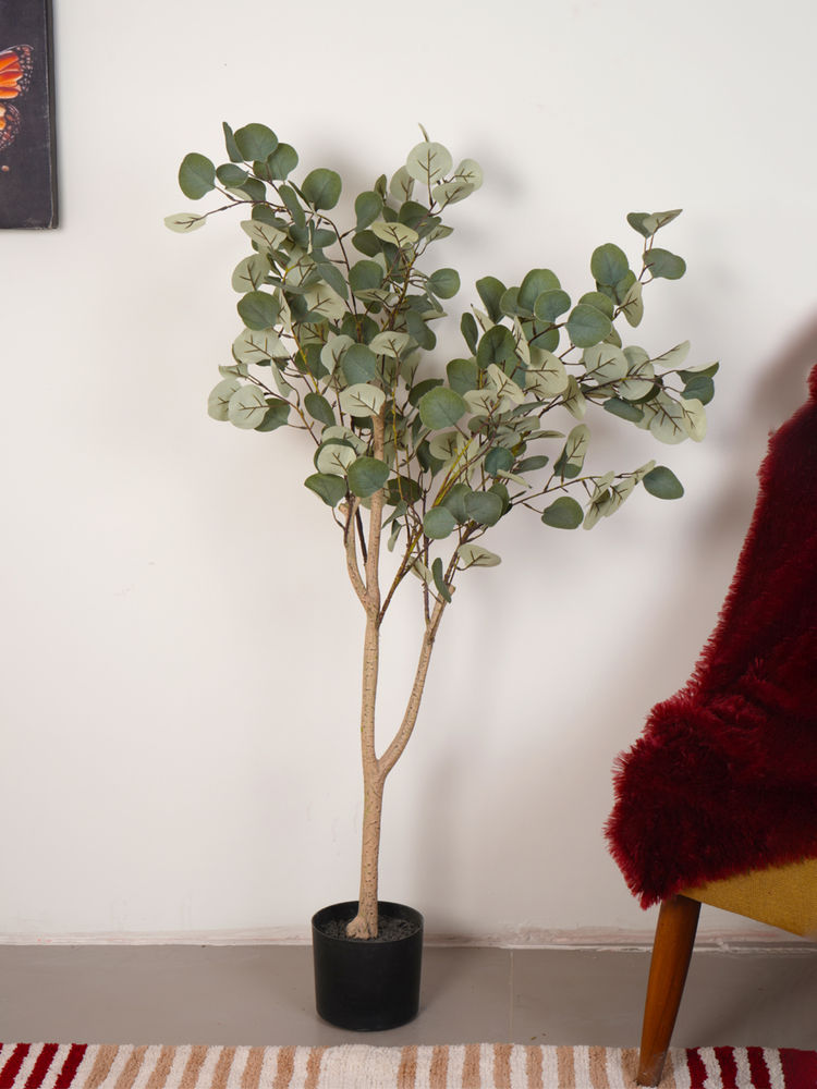 Home Bloom Artificial Green Money Plant with Pot-image-40