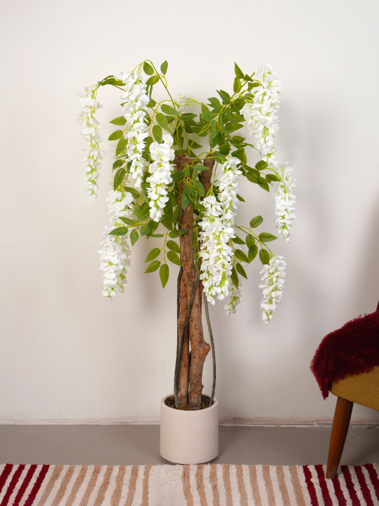 Home Bloom Artificial Wisteria Blush White Plant with Pot-image-45