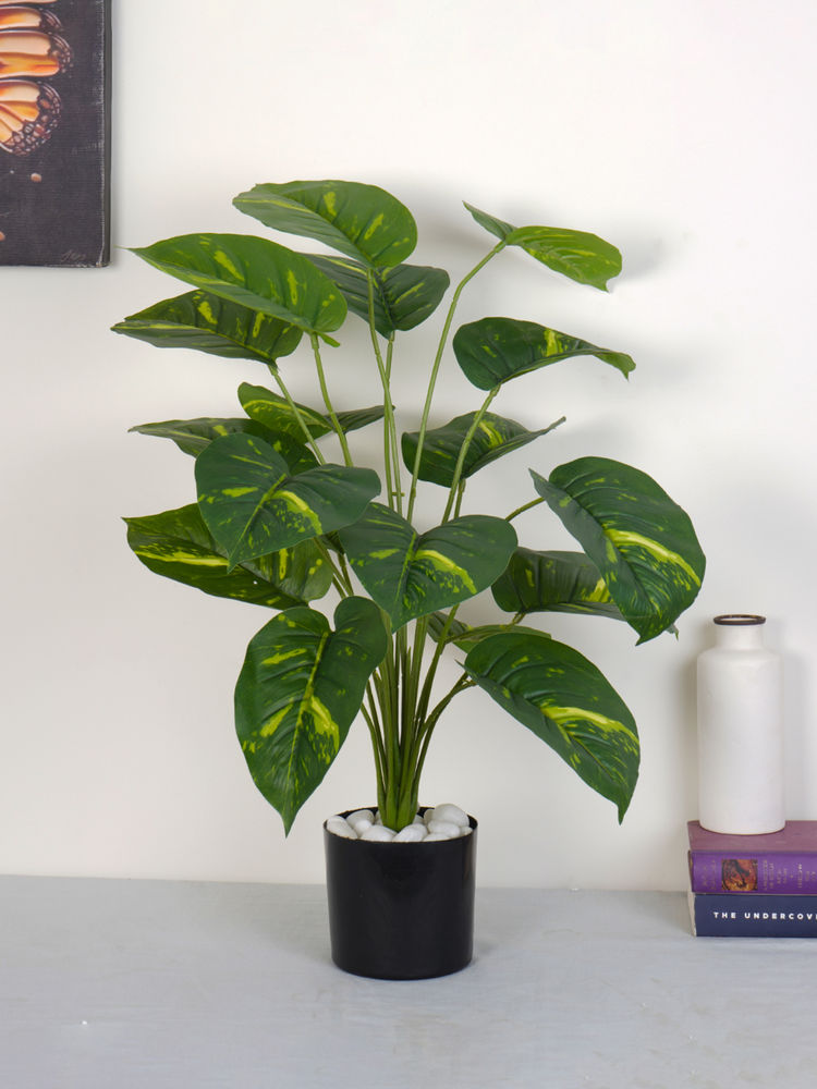 Home Bloom Artificial Green Natural Looking 18 Leaves Photosh Indoor Plant with Pot-image-5