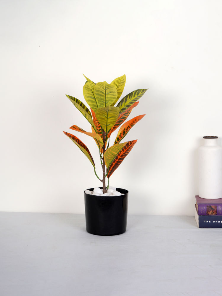Home Bloom Artificial Multi-Color Croton Plant with Pot-image-13