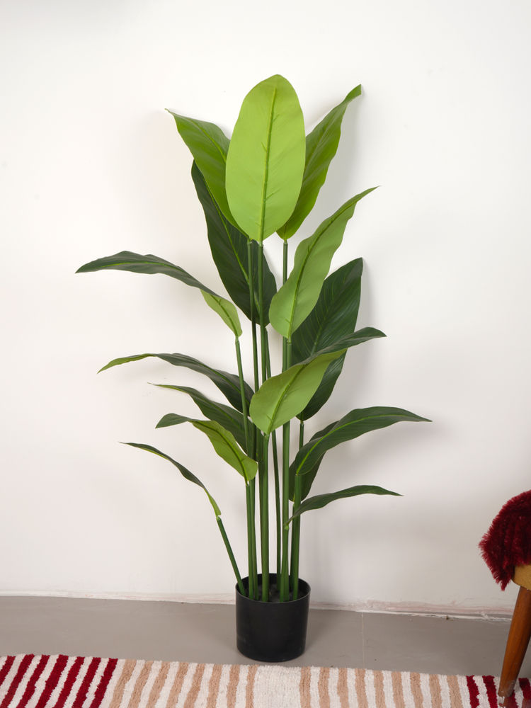 Home Bloom Artificial Green Tropicana Strelitzia Regina & Bird of Paradise Plant with Pot-image-42