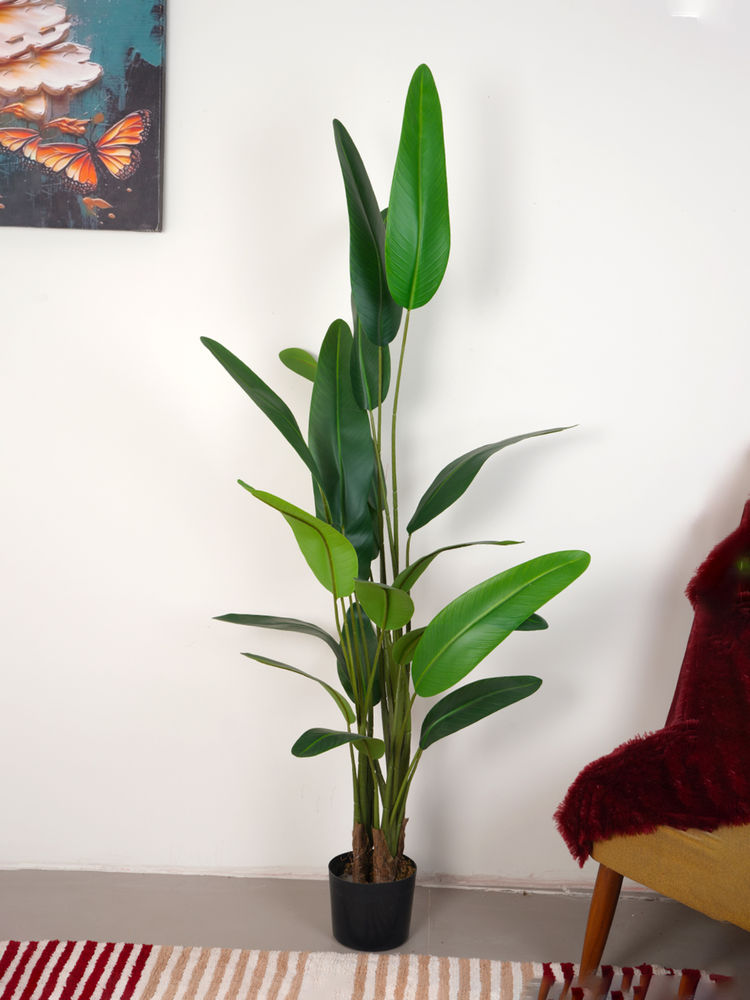 Home Bloom Artificial Green Tropicana Strelitzia Regina & Bird of Paradise Plant with Pot-image-7