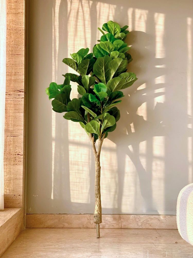 Mason Home Artificial Decadent Fiddle Plant - 5.5 Feet (Without Pot)-picture-15