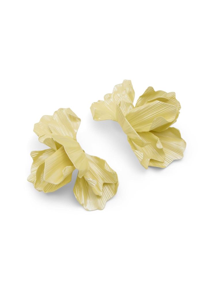 Aldo Yellow Women Earrings-picture-38