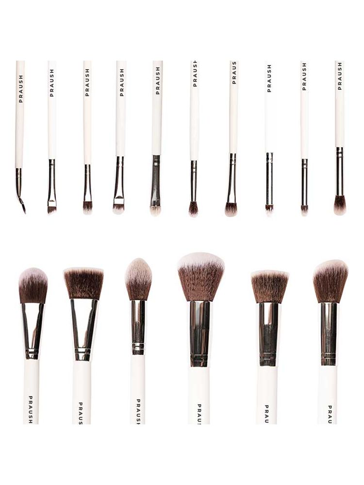 Praush Beauty 16 Pcs Professional Makeup Brush Set For Face & Eyes With Makeup Pouch