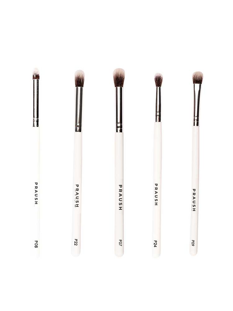 Praush Beauty 5 Pcs Professional Eye Blending Brush Set