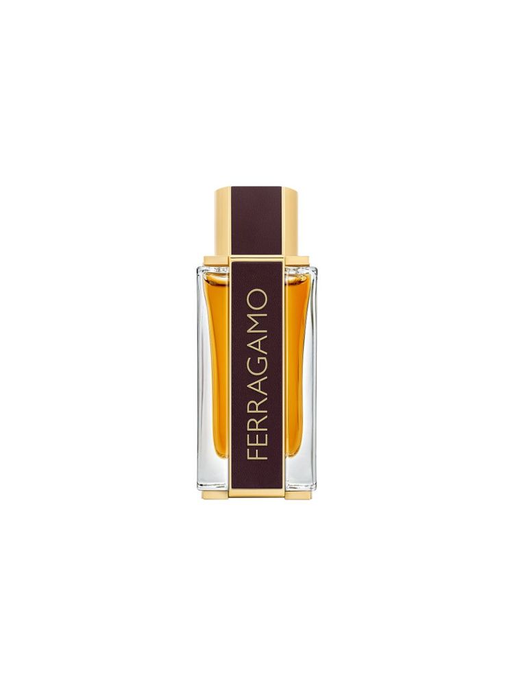 Ferragamo Spicy Leather Eau De Parfum For Him-image-35