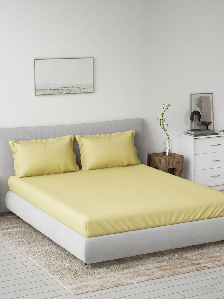 Ddecor Live Beautiful 100% Cotton Spectrum Dyed King Fitted Bedsheet with 2 Pillow Cover Yellow-image-43