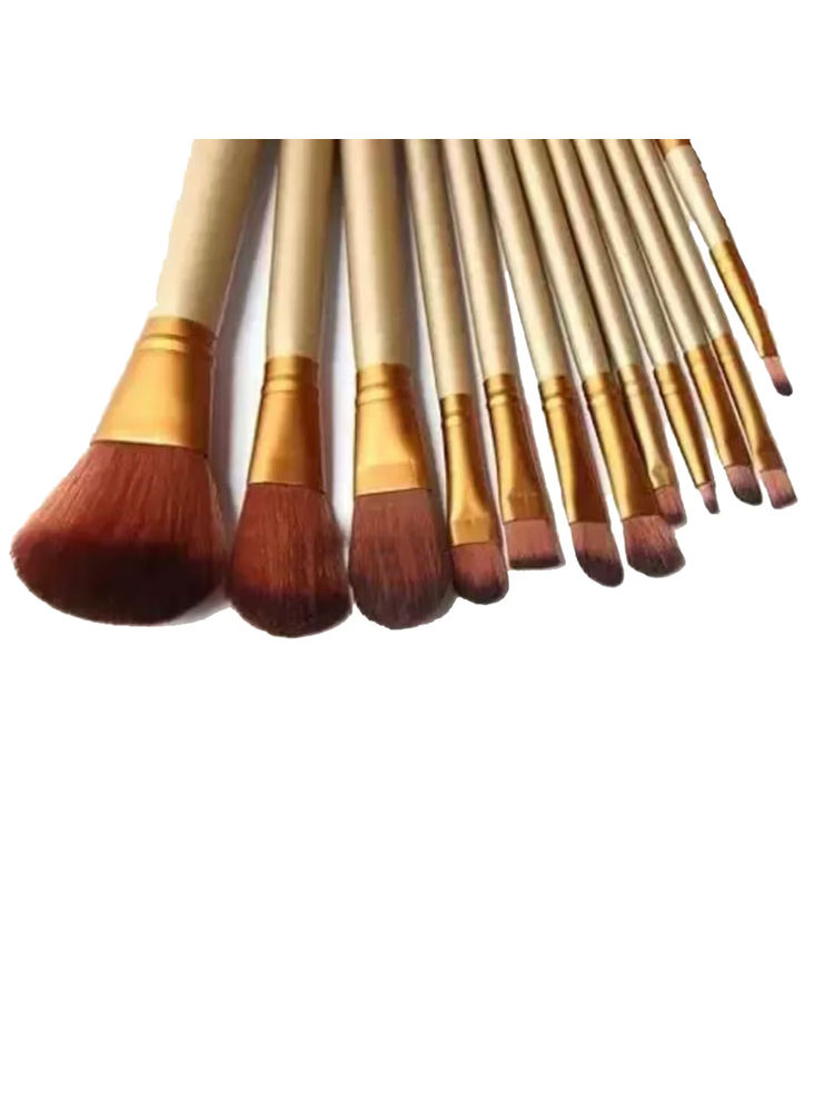 Gorgio Professional Makeup Brushes GMB9000 - Set of 12 Brush (Colour May Vary)