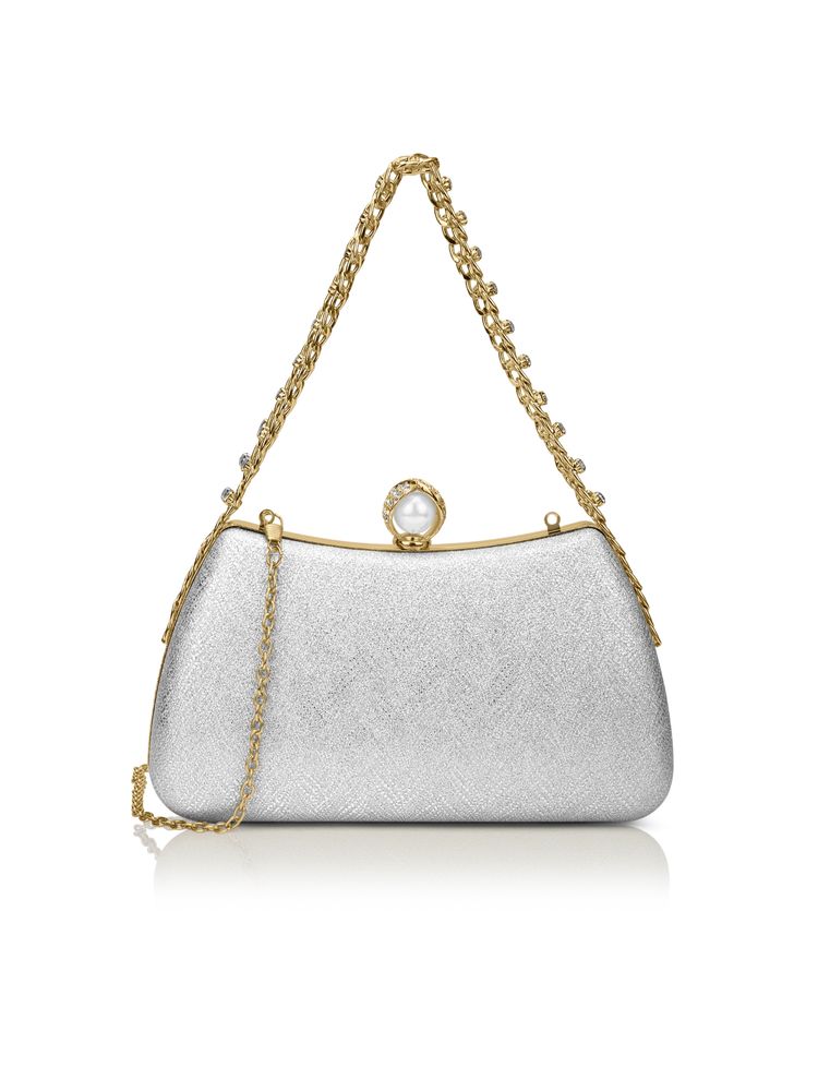 Lavie Signature Updo Framed Clutch with Detachable Chain -Silver (S)-image-48