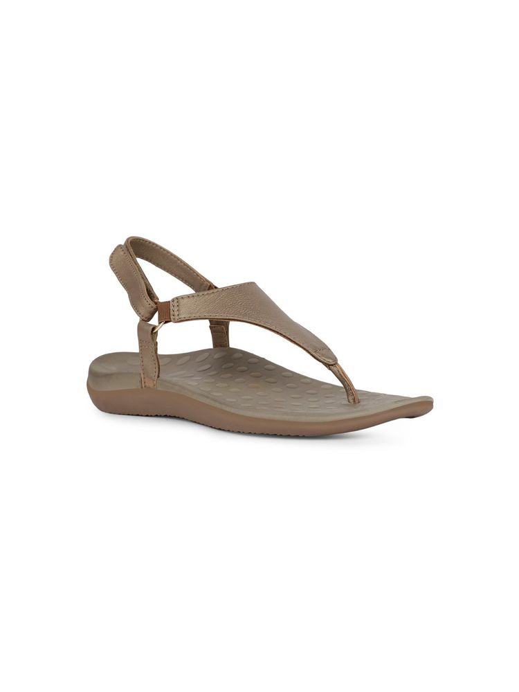 Scholl Taupe Women Sandals-image-35