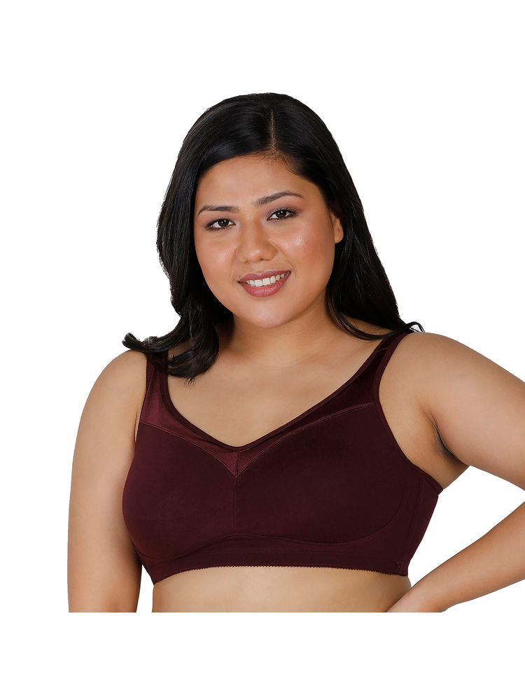 Enamor A112 Smooth Lift Stretch Cotton Classic Bra - Maroon