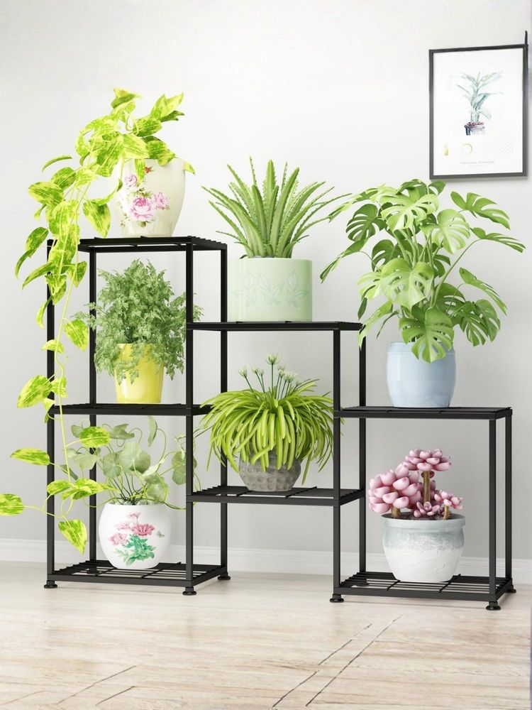 Ecofynd Brad 7-Tier Black Shelf Metal Plant Stand-image-37
