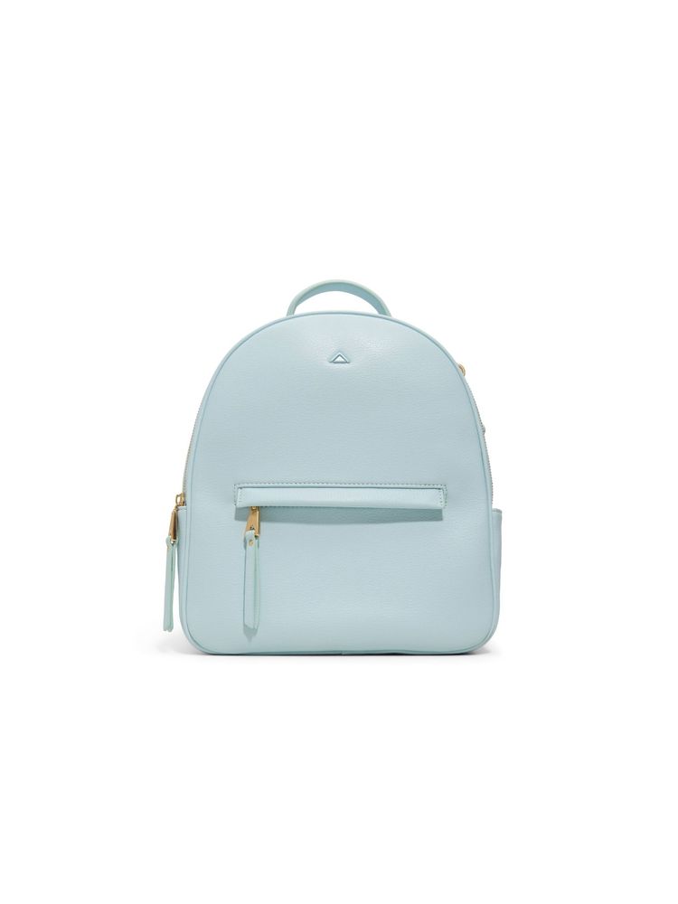 Aldo Coridon Women Blue Backpack-image-6