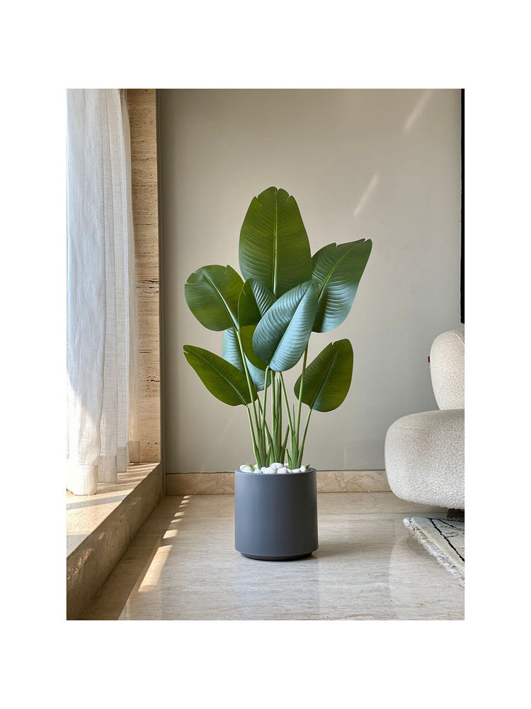 Mason Home Dark Grey Oasis Planters-image-4
