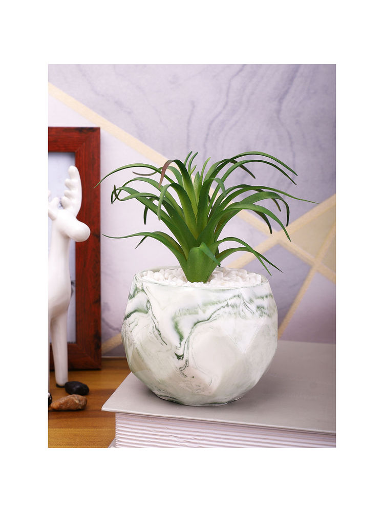 Tayhaa White Fig Artificial Plant with Pot-image-35