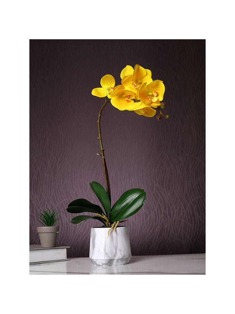 Tayhaa Yellow Orchid Artificial Plant with Pot-image-38